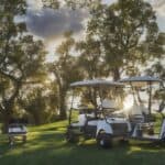 Should I leave my golf cart plugged in all the time?